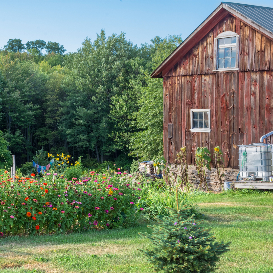 Homesteading for Everyone Catholic Mom Podcast Wife Christian Preparedness Simplicity ever After